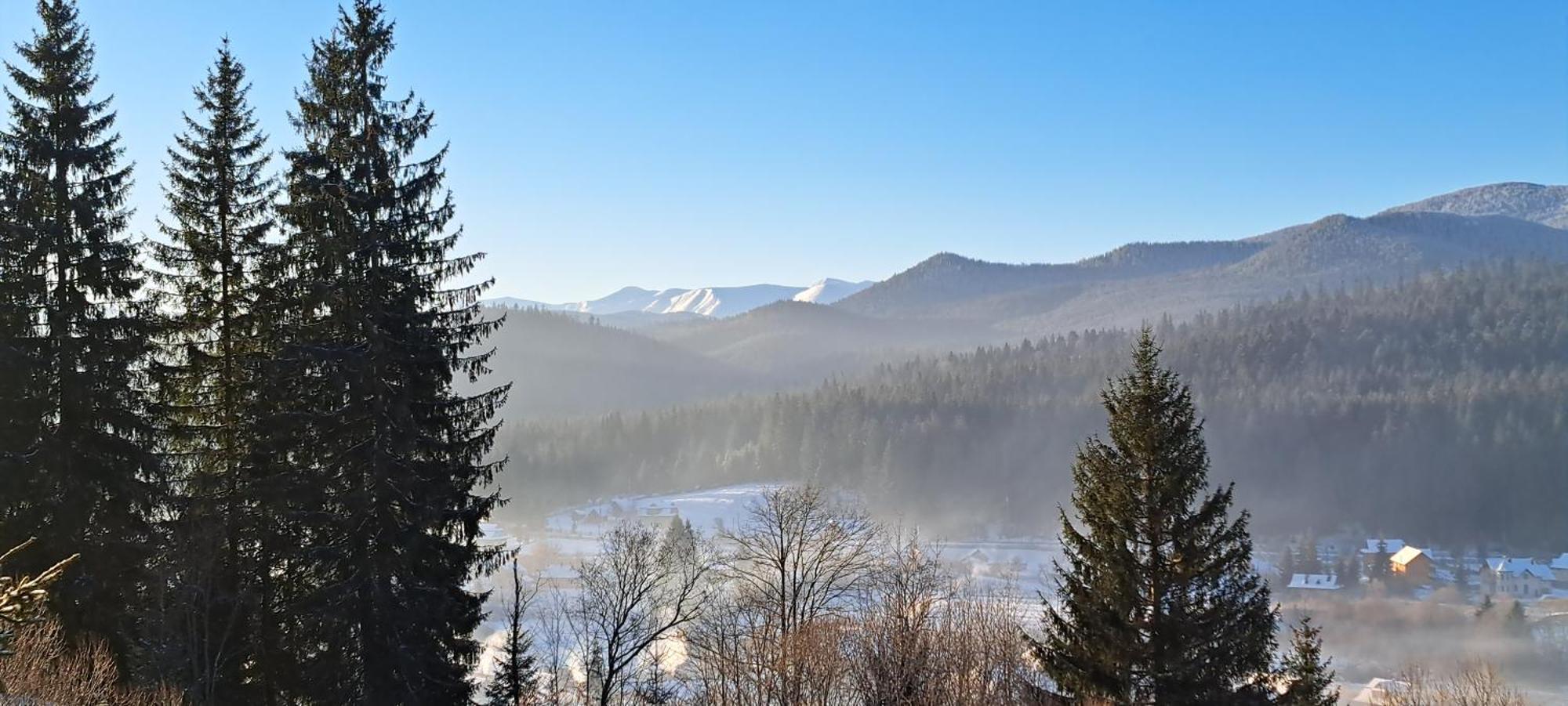 Шпінь 2 Villa Vorokhta Luaran gambar